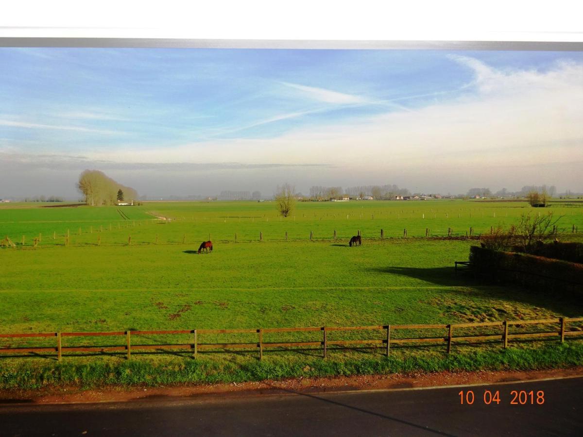 Benbsjerie Bed and Breakfast Maldegem Exteriör bild
